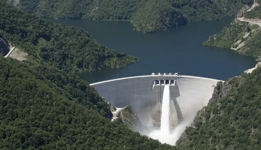 Камъкът в политическото блато