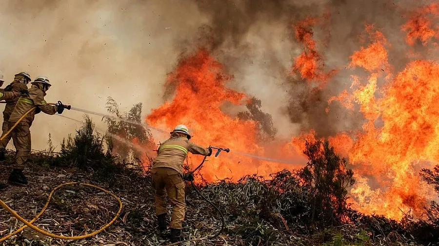 Външно пак предупреди за пожарите в Гърция