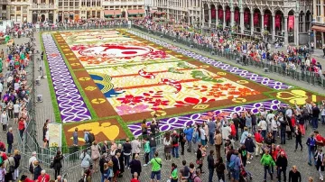 Килим от цветя украси брюкселския "Гран плас"