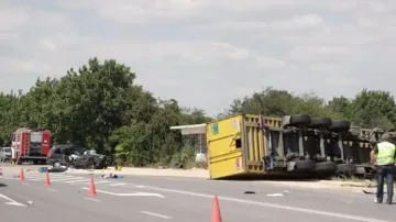 Труп до труп по пътищата