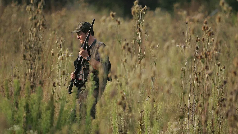 Започва ловният сезон за пернати