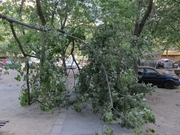 Паднал клон уби човек в София
