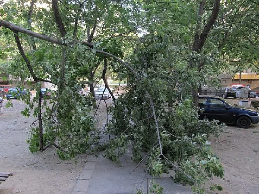 Паднал клон уби човек в София