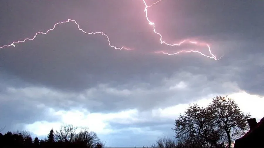 Буря взе жертва в София, дъжд разхлади югозапада /ОБНОВЕНА/
