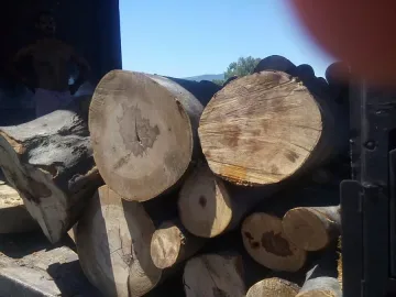 Задържани са дървата от запалилия се ТИР на магистрала "Струма"