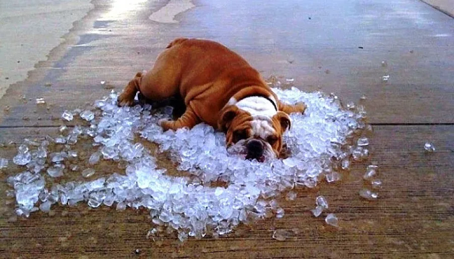 Жега до 37 градуса, приятен бриз на морето