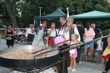 Видин живя седмица с „Дунавски вълни"