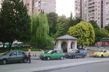 Задържаха чичка за стрелба по куче