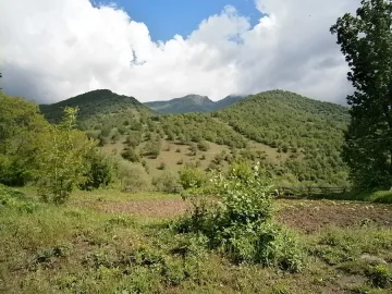 Спасиха 10 деца загубили се в гората