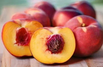 Празник "Златна праскова" в с. Гавраилово