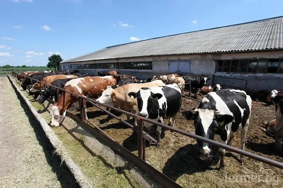 ДФ „Земеделие" изплати 365 млн. лв. за 2016 г.