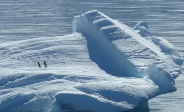 Луксозни екскурзии до Антарктида