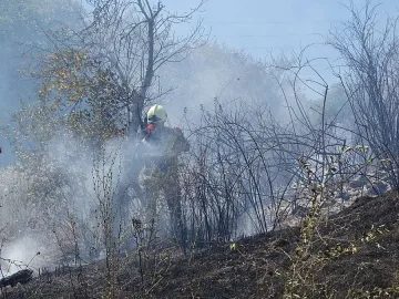 Пожар изпепели 600 декара гора край Стара Кресна