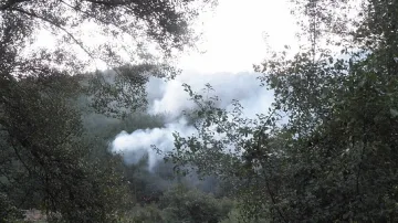 Шест пожарни гасят стихия край Стара Кресна