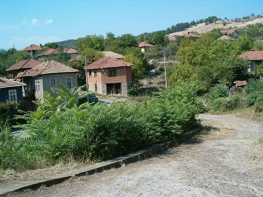 Водоноски поят 1100 души в монтанско