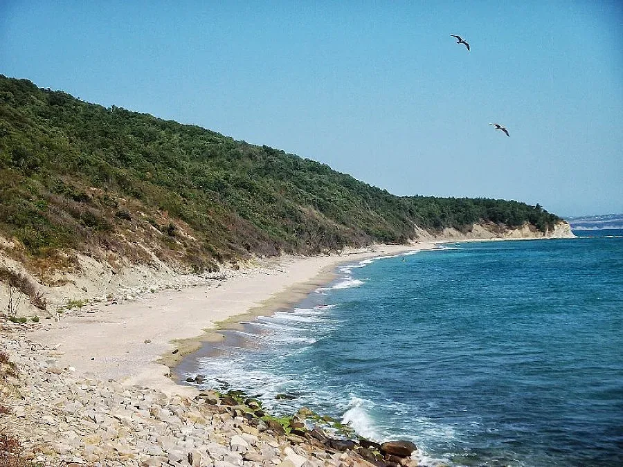 Професор открит мъртъв на плажа в Иракли