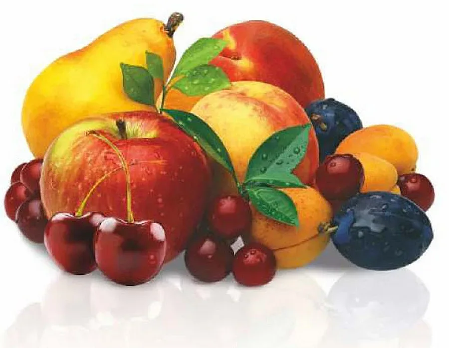 Дават рамо на овощните градини