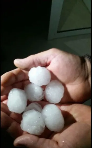 Градушка колкото орех покоси България