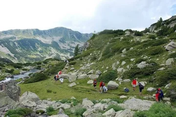 Автобуси превозват безплатно туристи до Витоша