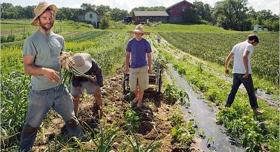 Фонд "Земеделие" изплати 84 млн.