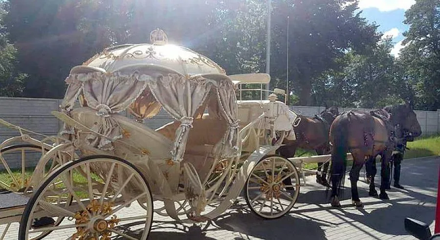 Роми прибраха млада майка и бебе с карета и оркестър