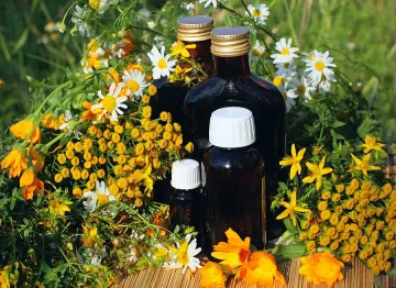 17 000 тона билки се добиват в България