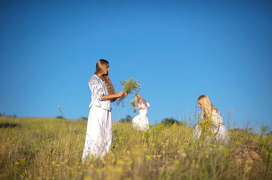 На Еньовден се берат 77 билки и половина