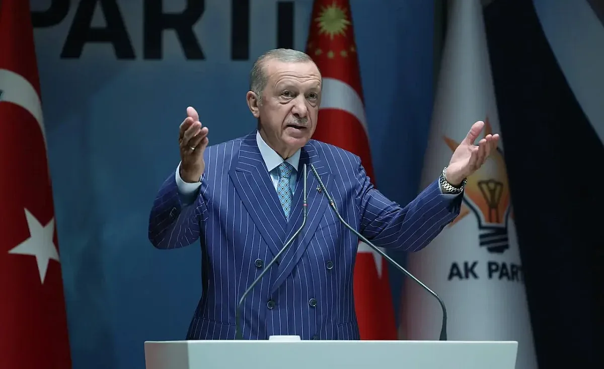 Ердоган зове за национално единство и политическа стабилност