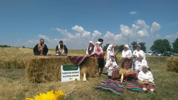 Над 5 млн. тона е очакваната реколта от пшеница