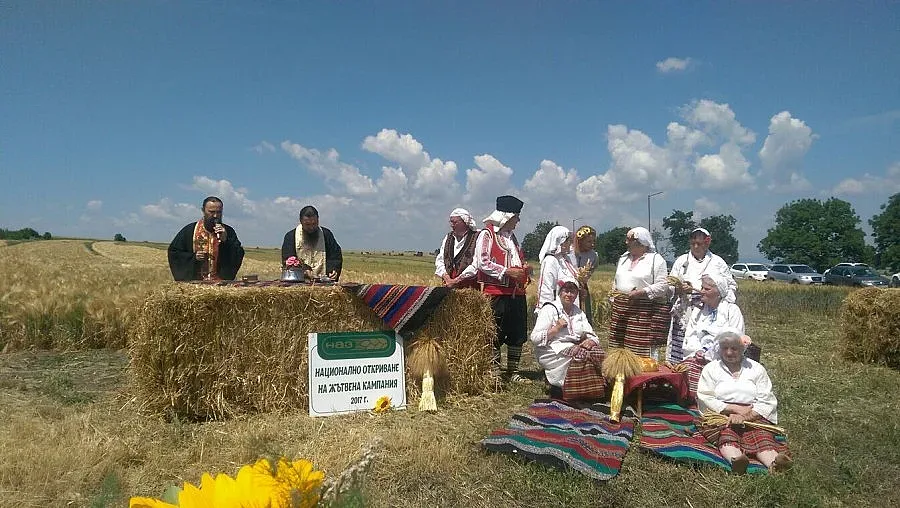 Над 5 млн. тона е очакваната реколта от пшеница