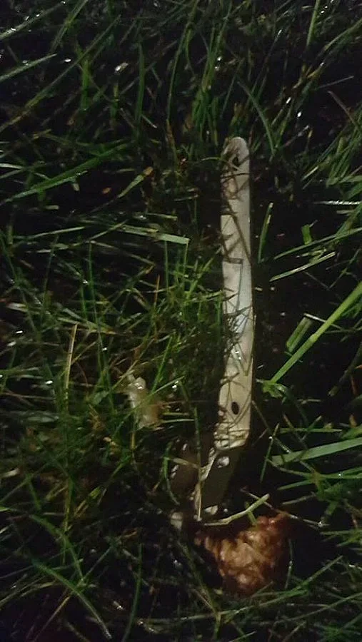 Атакуваха посолството на САЩ в Киев