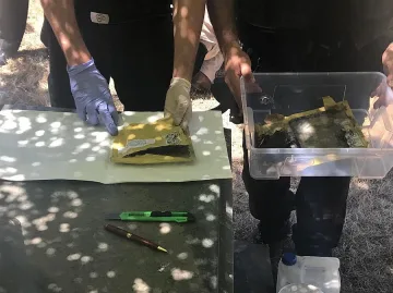 Бомби за магистрати в Торино