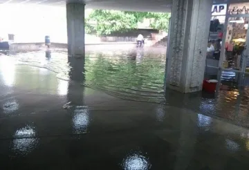 Гръмотевици спряха трамваи в София