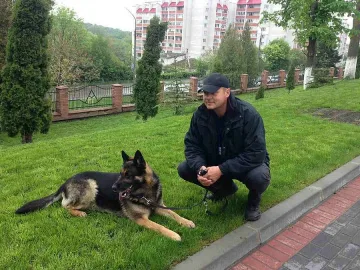 Митническото куче Рови с първа награда на международно състезание