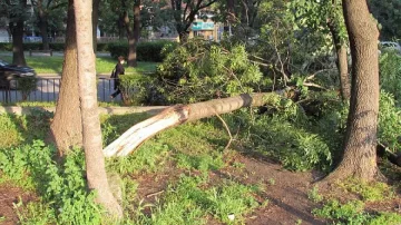 Отмениха бедственото положение в Сливо поле