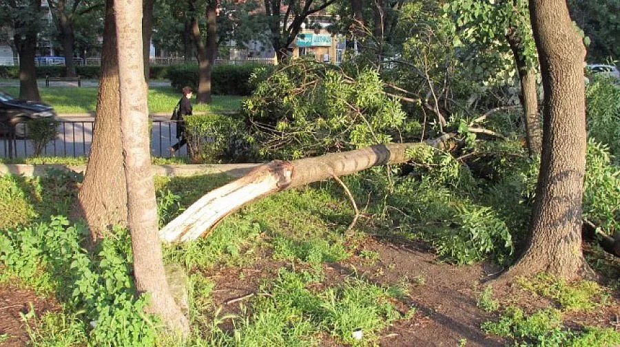 Отмениха бедственото положение в Сливо поле