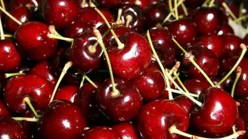 Малките производители на череши свалят цените