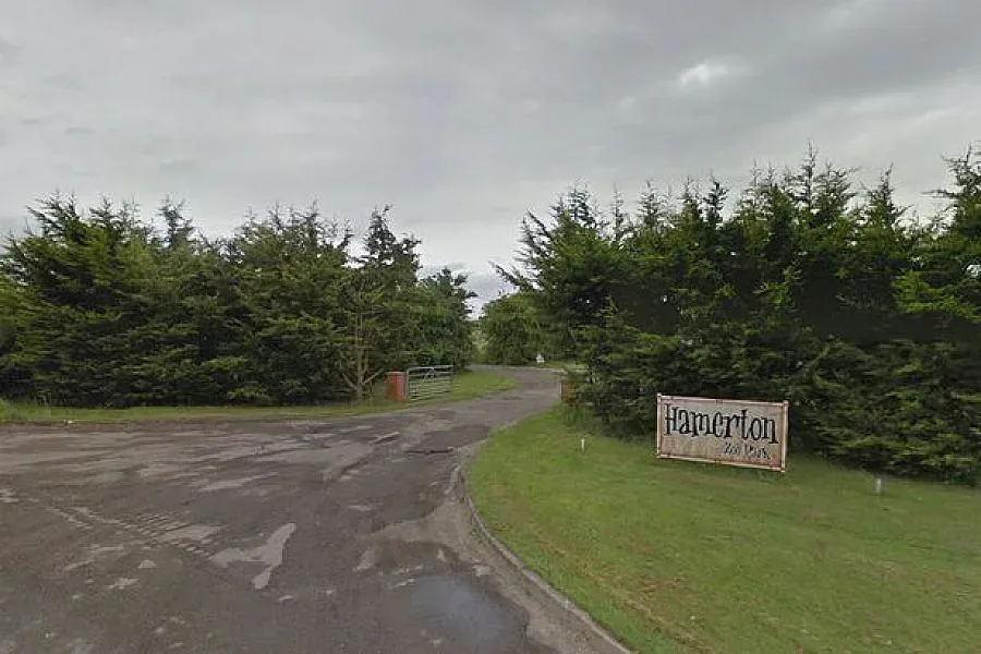 Тигър опразни Зоопарк на Острова