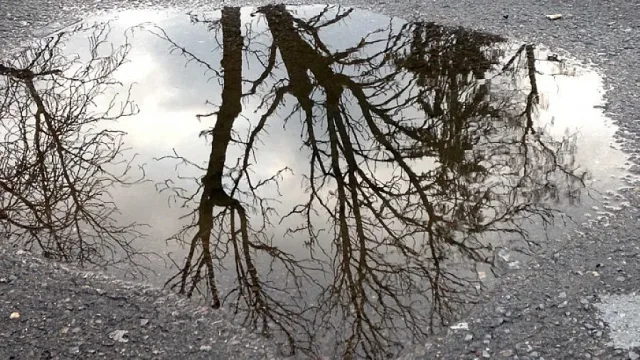 Синоптиците бият тревога за 6 ноември. Къде ще е най-страшно