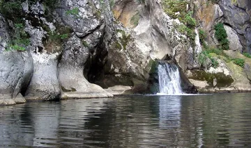 Зарибяват Ерма с пъстърви