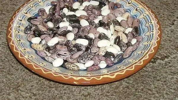 Голям проблем със смилянския боб. Масово се запасяват