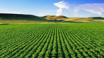 По-висока рента плащат в Пернишко