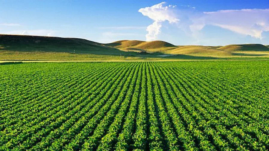 По-висока рента плащат в Пернишко