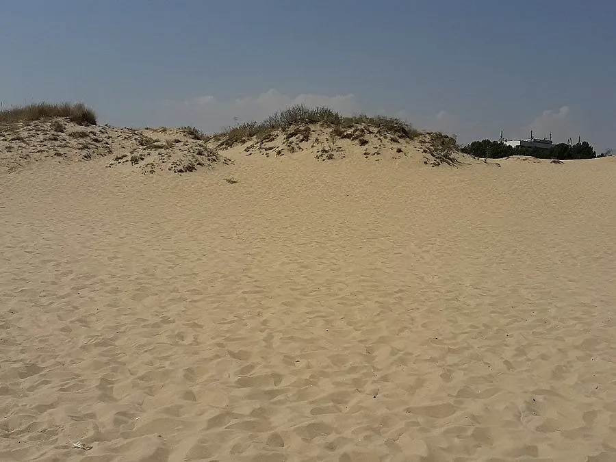 Министър Ангелкова разпореди проверка на плажа в Слънчев бряг