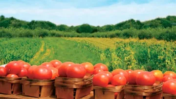 Био фермите си искат субсидиите