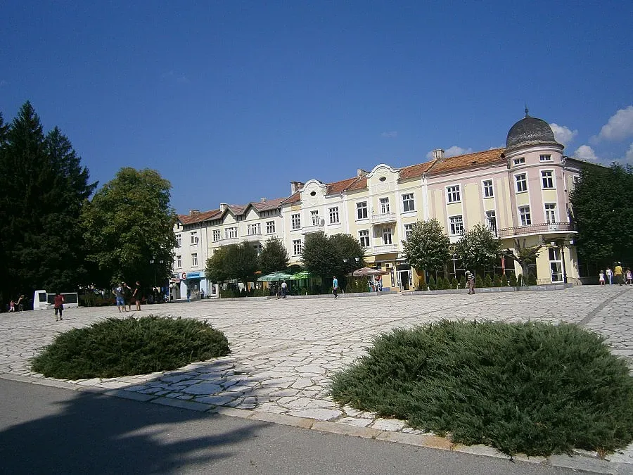 Оцелял в катастрофа се самоуби пред майка си