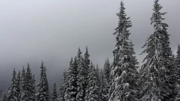 Китаец падна в реката на Боянския водопад във Витоша