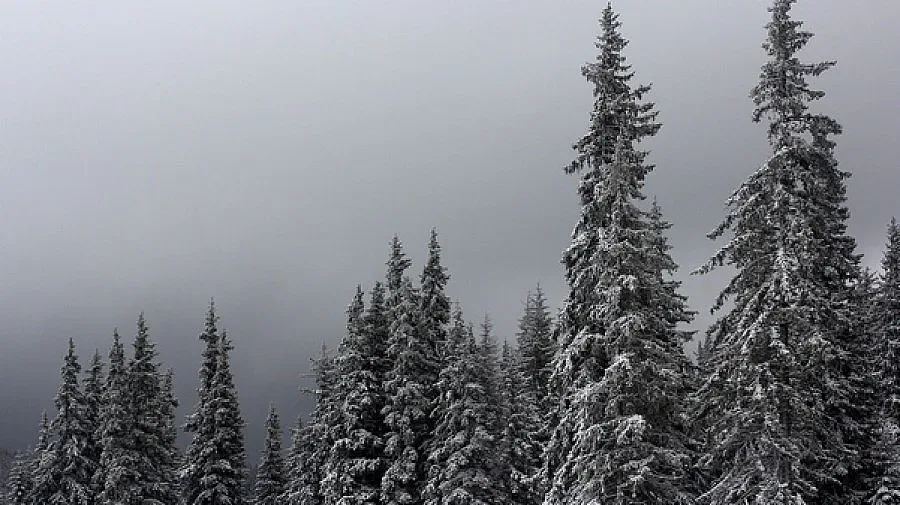 Китаец падна в реката на Боянския водопад във Витоша