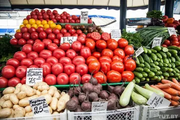 Турските домати остават табу в Русия