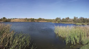 Общини искат спешно 4,5 млн. от държавата